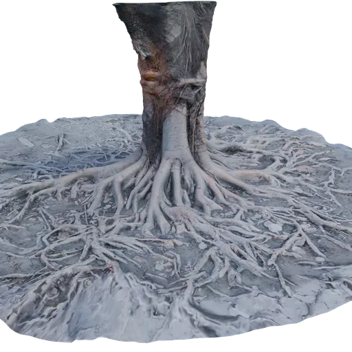 Gaint Roots Tree