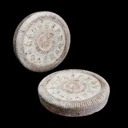 Rusitc Weight Coin