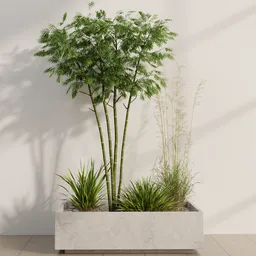 Tropical Serenity Planter Set