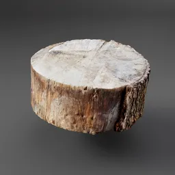 Tree Stump
