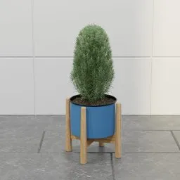 Modern Blue Herb Planter