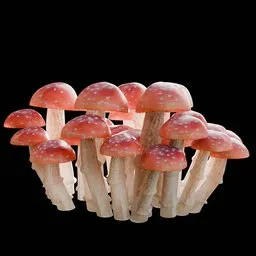 Red Mushrooms