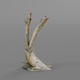 "Discover a mesmerizing 3D model of a 'Tilted Tree Trunk' in the 'Tree' category, reduced to 50k with Blender 3D software. This miniature sculpture features a bird perched on the driftwood and is perfect for nature enthusiasts. Inspired by the Barbizon School and Daphne Fedarb, this untextured model is a masterpiece by Breyten Breytenbach."