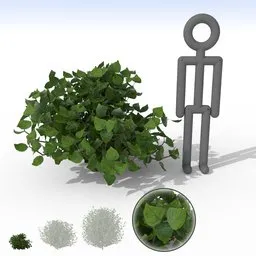 "Small Shiny Leaf Bush 3D model for Blender 3D - ideal for garden and landscape design. Features green plants with sparse floating particles and long vines. High-quality scenario asset for realistic 3D scenes."