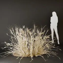 SJ-Dried Unique Bush Charm