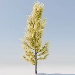 Detailed Ginkgo Biloba 3D model with intricate textures perfect for Blender design projects.