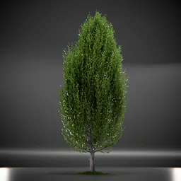 Tree Columnar European Animated