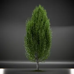 Tree Columnar European Animated
