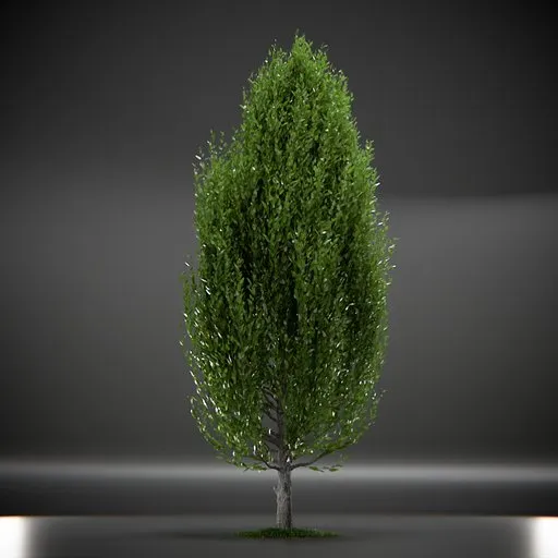 Tree Columnar European Animated