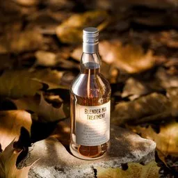 Whiskey Bottle on Stone in Autumn