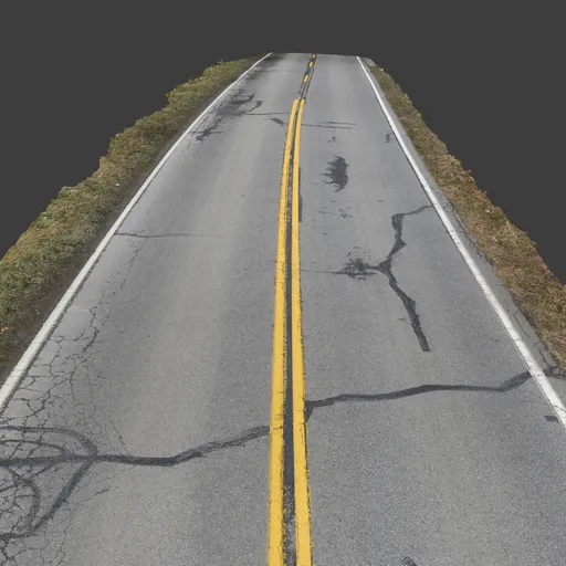 Rural Road Photoscan