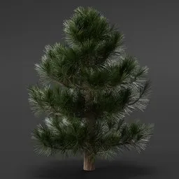 Realistic 3D pine tree model with detailed textures and materials, compatible with Blender rendering.