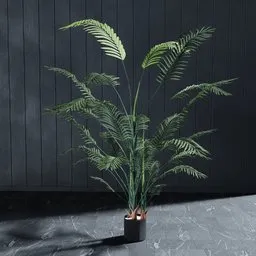 "Artificial palm Areca 180 cm 3D model for Blender 3D - lifelike and intricately detailed palm tree in a pot, designed by Friedrich Traffelet and aquasixio. Suitable for high-key photography and perfect for creating photorealistic scenes. Available in 4k Unreal Engine renders."