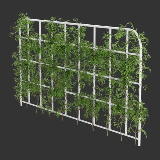 Grid Ivy Simple Plant