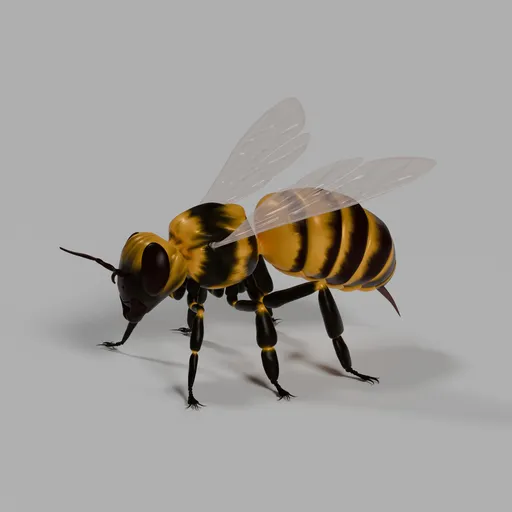 Honey Bee