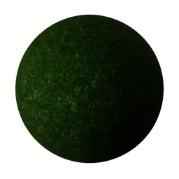 Grass Patchy Ground