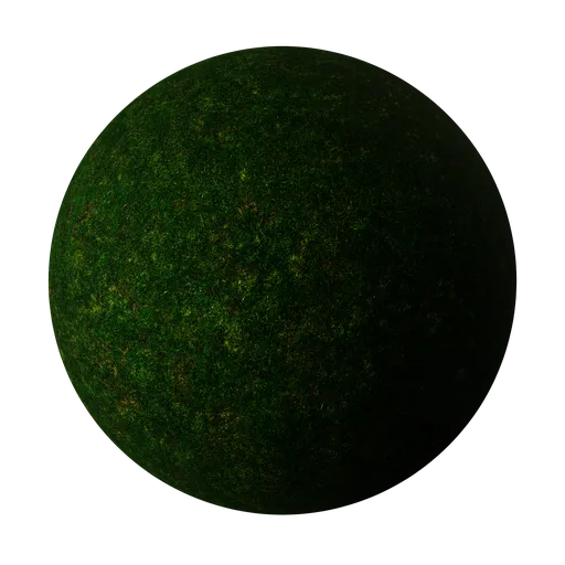Grass Patchy Ground
