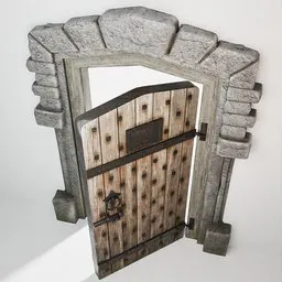 Medieval Door