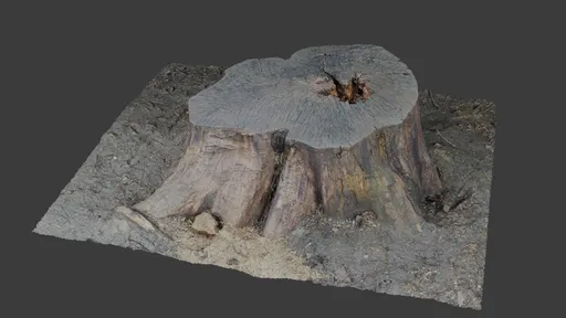 Realistic textured 3D model of a cut tree stump suitable for Blender rendering and game asset creation.