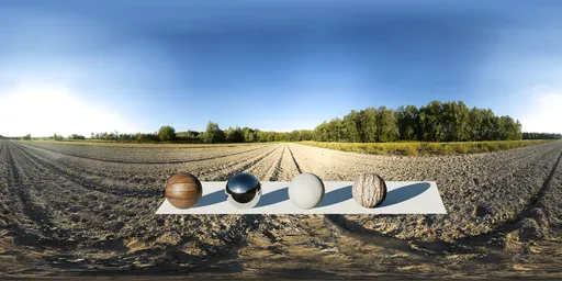 Kabaty Field