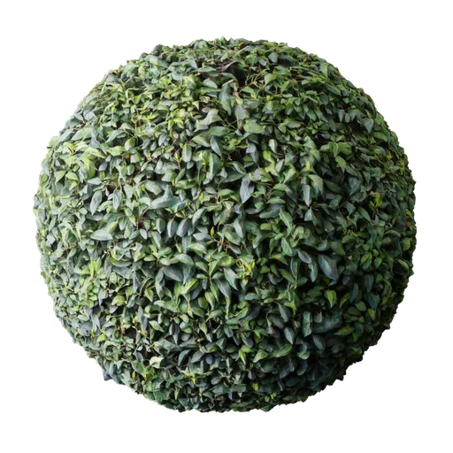 2K PBR hedge material for Blender 3D, detailed foliage with displacement for realistic organic surfaces.