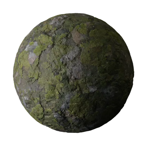 Mossy Rock Surface