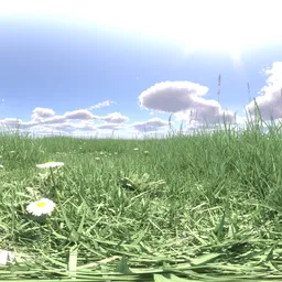 Morning grass green cloud 16k