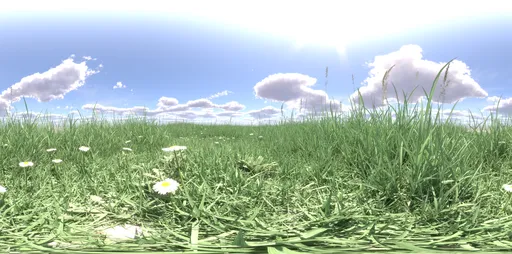 Morning grass green cloud 16k