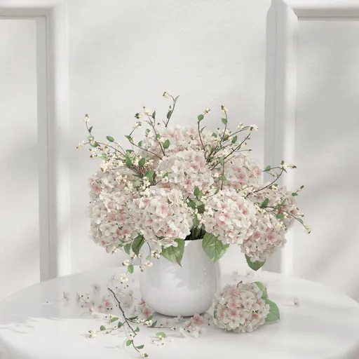 Hydrangea