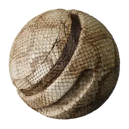 Snake skin