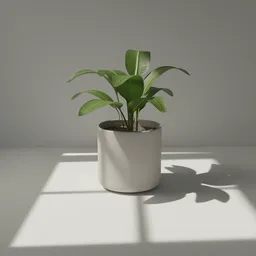 "Indoor plant 3D model for Blender 3D - minimalist interior design with large green leaves in a pot on a table, perfect for indoor settings. AI-generated image with soft shadows and untextured modeling, ideal for nature enthusiasts and 3D designers looking to add some greenery to their projects."