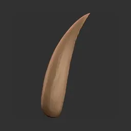 Hooked Nail
