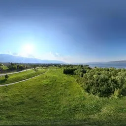 Highsky bluesky forest green grass