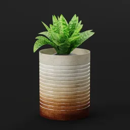 Small Decorative Plant in Pot