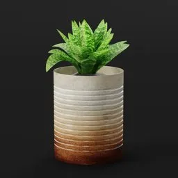 Small Decorative Plant in Pot