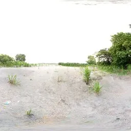 Sandy Clearing