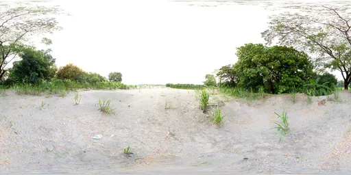 Sandy Clearing