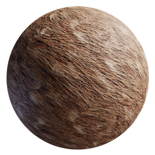 Fur 02