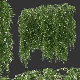 Flowering Wall Hanging Plant