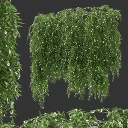 Flowering Wall Hanging Plant