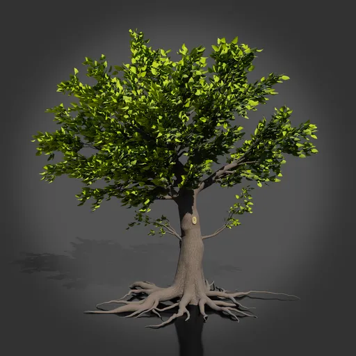 Realistic Tree | Trees models | Blendkit