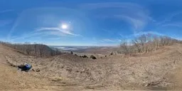 Dry Grass Bluesky