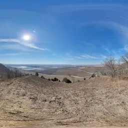 Dry Grass Bluesky