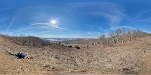 Dry Grass Bluesky