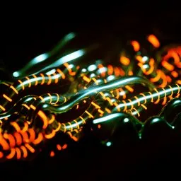 Futuristic Neon Wires