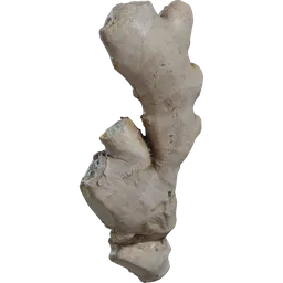 Food Ginger 01