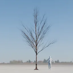 Dry Tree Low Poly Animated