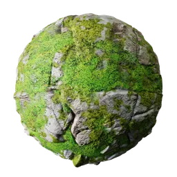 Rock with Moss