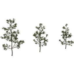 Detailed 3D pine sapling models showcasing different growth stages, compatible with Blender.