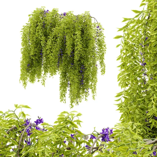 flower hanging wall plant